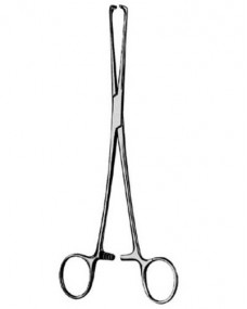 Allis-Atrauma Holding Forcep