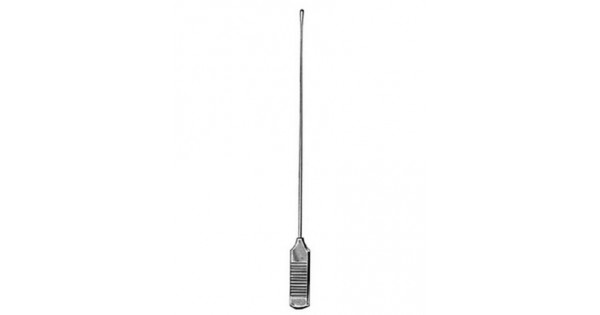 Stringency Fish Probe Fish Probe
